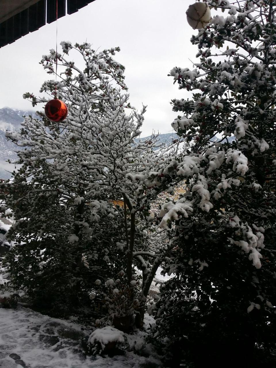 Albergo La Valle Daone Exterior photo