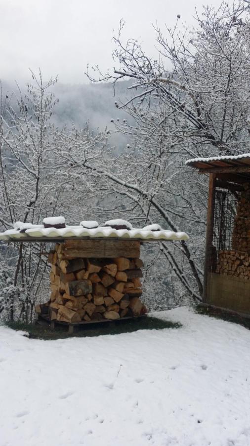 Albergo La Valle Daone Exterior photo